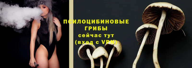 это официальный сайт  Электроугли  Галлюциногенные грибы Cubensis 